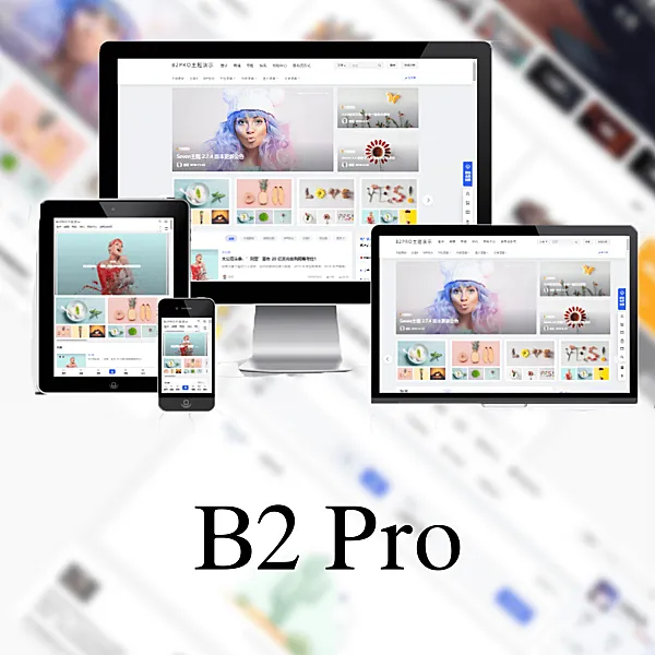 B2 PRO主题设置聚合登录教程 7B2.com 